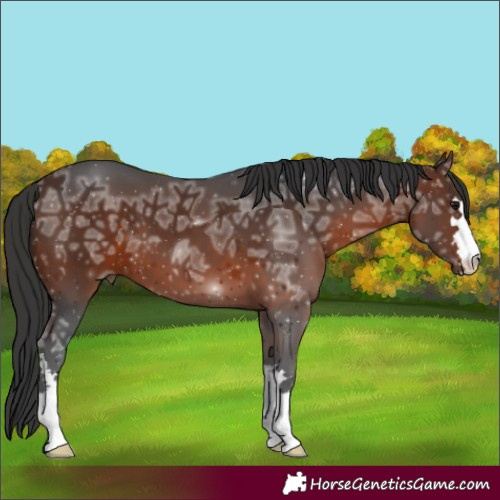 Horse Color:Brown Ice 