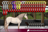 Horse Color:White Spotted Gold Champagne Dun