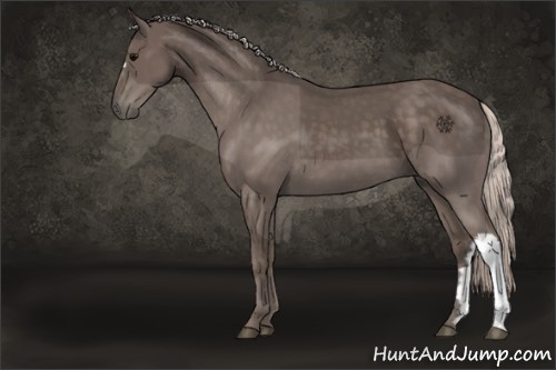 Horse Color:Silver Black 