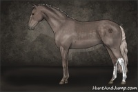 Horse Color:Silver Black 
