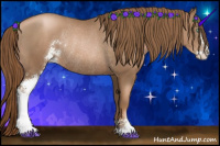 Horse Color:Liver Chestnut Pearl Sabino Rabicano 