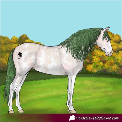 Horse Color:Watercolor Sable Champagne Dun Sabino Brindle 
