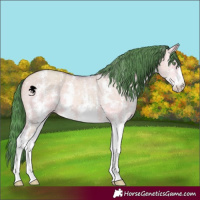 Horse Color:Watercolor Sable Champagne Dun Sabino Brindle 