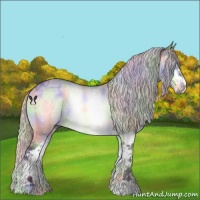 Horse Color:Nacre Silver Bay Chinchilla Ice Onyx Sabino 