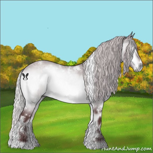 Horse Color:White Spotted Chocolate Silver Brown Chinchilla Ice Onyx 