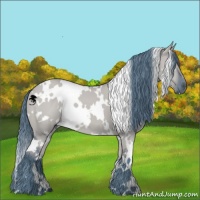 Horse Color:Watercolor White Spotted Liver Red Dun 