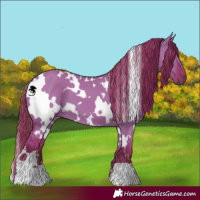 Horse Color:Watercolor White Spotted Liver Red Dun 