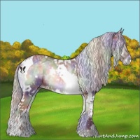 Horse Color:Nacre White Spotted Chocolate Silver Blue Onyx Chinchilla Ice Tobiano 