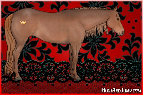 Horse Color:Liver Red Roan Sabino 