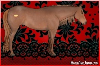Horse Color:Liver Red Roan Sabino