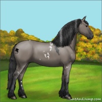 Horse Color:White Spotted Grullo 