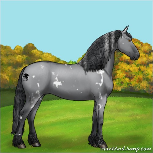 Horse Color:White Spotted Grullo Chinchilla 