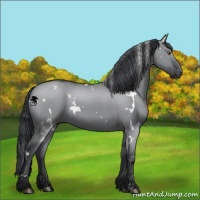 Horse Color:White Spotted Grullo Chinchilla 