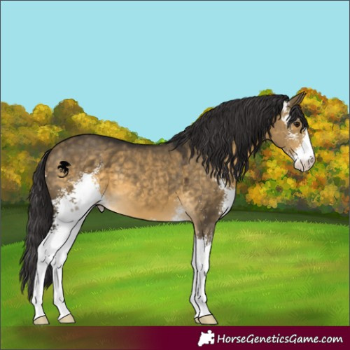 Horse Color:Buckskin Dun Sabino 