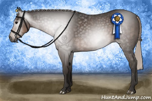 Horse Color:Gray Silver Black Sabino Rabicano