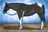 Horse Color:Black Sabino Tobiano 