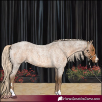 Horse Color:Chocolate Palomino Roan 