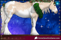 Horse Color:Silver Bay Dun Sabino Tobiano Frame Rabicano 