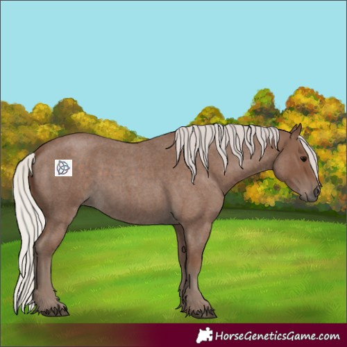Horse Color:Silver Blue Roan 