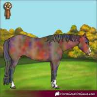 Horse Color:Nacre Bay 