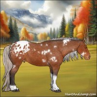 Horse Color:White Spotted Silver Buckskin Tobiano Appaloosa 