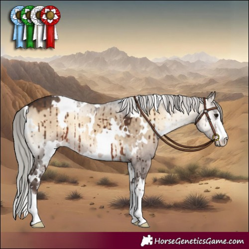 Horse Color:White Spotted Silver Brown Onyx Brindle 