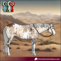 Horse Color:White Spotted Silver Brown Onyx Brindle 