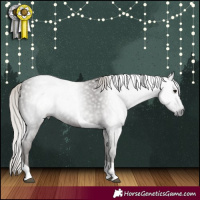 Horse Color:Gray Silver Black Tobiano 