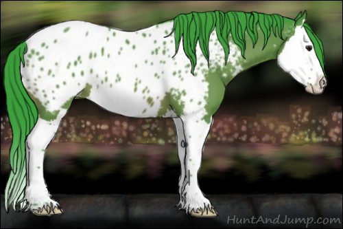 Horse Color:Watercolor Brown Splash Appaloosa 