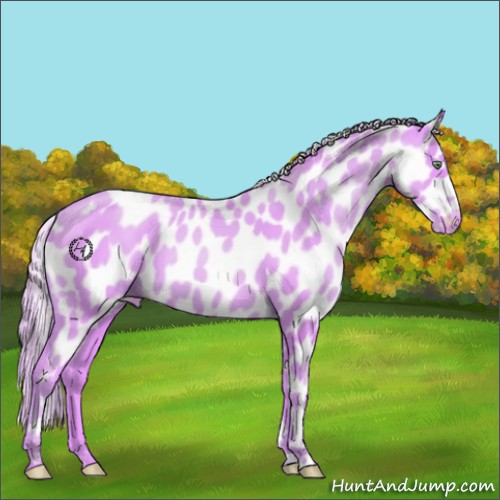 Horse Color:Watercolor Gold Cream Champagne Leopard 