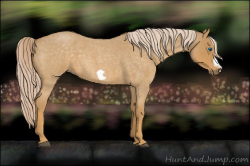 Horse Color:Palomino Roan Frame 