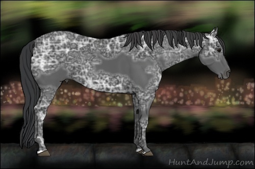 Horse Color:Black Ice 