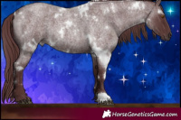 Horse Color:White Spotted Chocolate Smoky Blue Roan 
