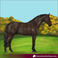 Horse Color:Midnight Bay Ice 