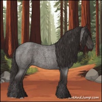 Horse Color:Smoky Blue Roan