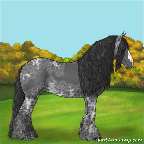 Horse Color:Black Ice 