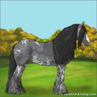 Horse Color:Black Ice 