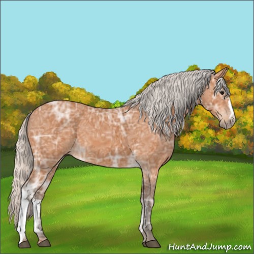Horse Color:Silver Bay Ice 
