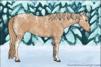 Horse Color:Chestnut Ice 