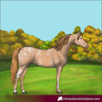 Horse Color:Chestnut Ice 