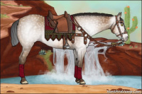 Horse Color:Gray Amber Champagne 