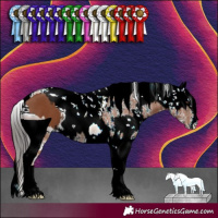 Horse Color:ERROR: UNKNOWN ANOMALY and ERROR: UNKNOWN ANOMALY