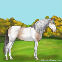 Horse Color:White Spotted Amber Champagne Tobiano 