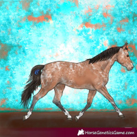 Horse Color:Bay Ice 