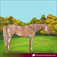 Horse Color:Chestnut Ice 