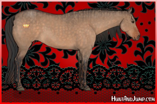 Horse Color:Liver Red Dun Roan Sabino Rabicano  and Brown Roan Dun Sabino Rabicano 