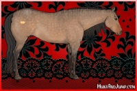 Horse Color:Liver Red Dun Roan Sabino Rabicano  and Brown Roan Dun Sabino Rabicano 