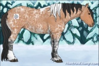 Horse Color:Bay Ice Tobiano 