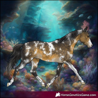 Horse Color:White Spotted Buckskin 