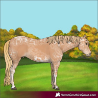 Horse Color:Chestnut Ice 